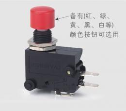 藍(lán)鳥RENEW RS-5GL 短柄微動開關(guān) 電工開關(guān)領(lǐng)域的可靠選擇